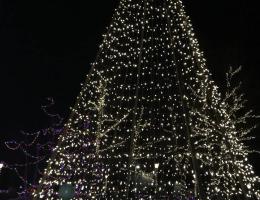 Big Christmas Tree 